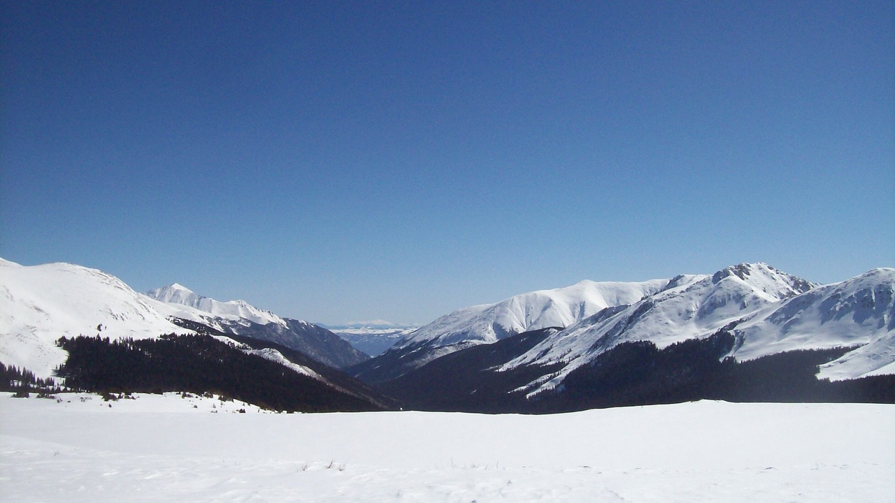 Photo of Others in Buena Vista