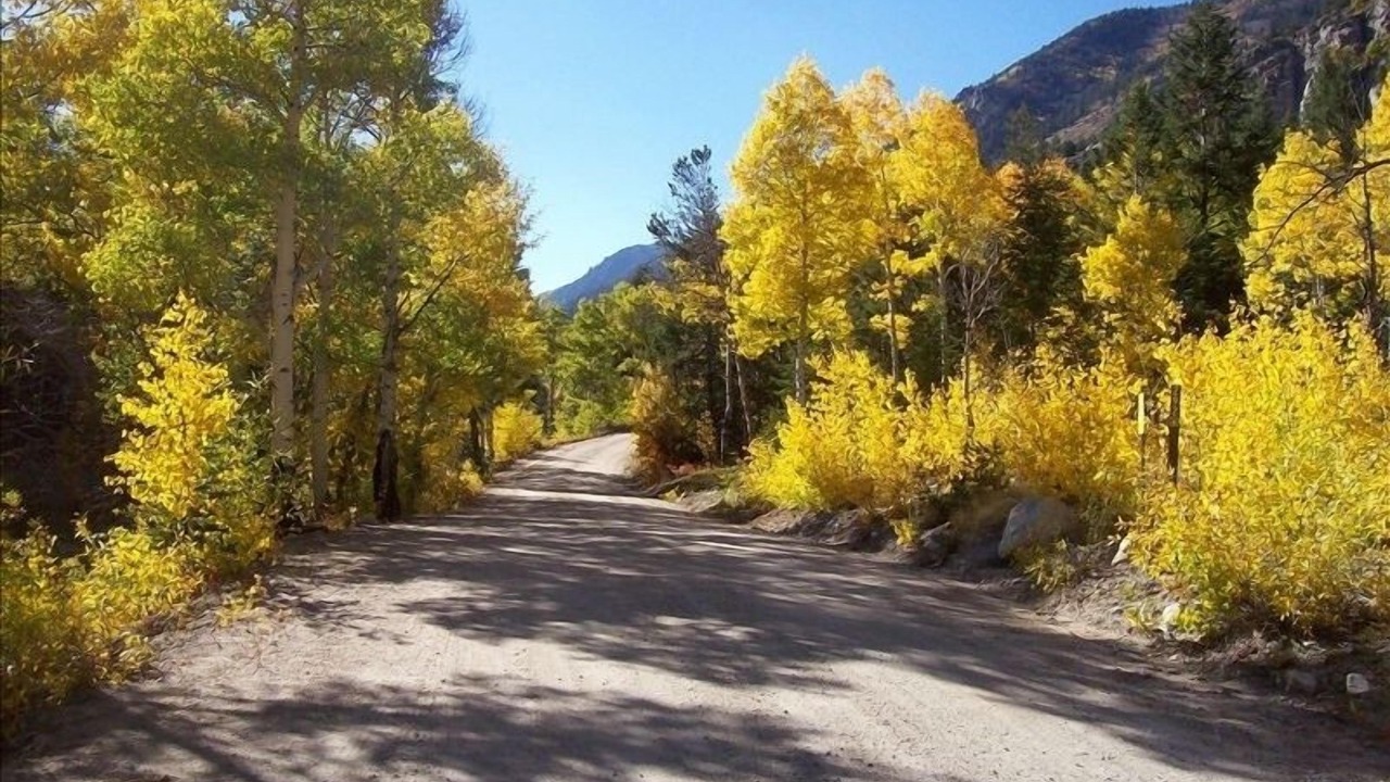 Photo of Others in Buena Vista