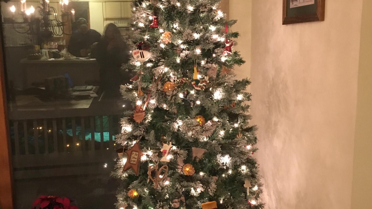 Photo of Others in Bromley Mountain