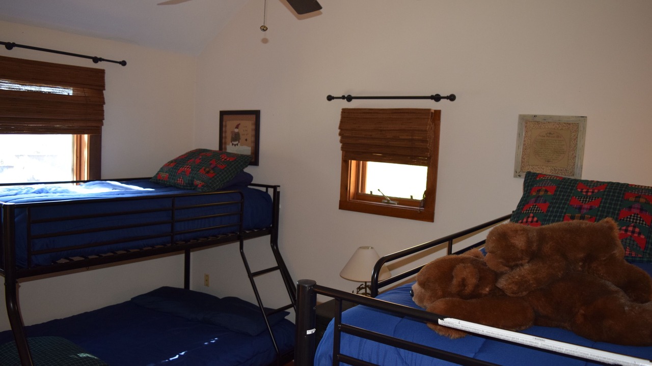 Photo of Others in Bromley Mountain