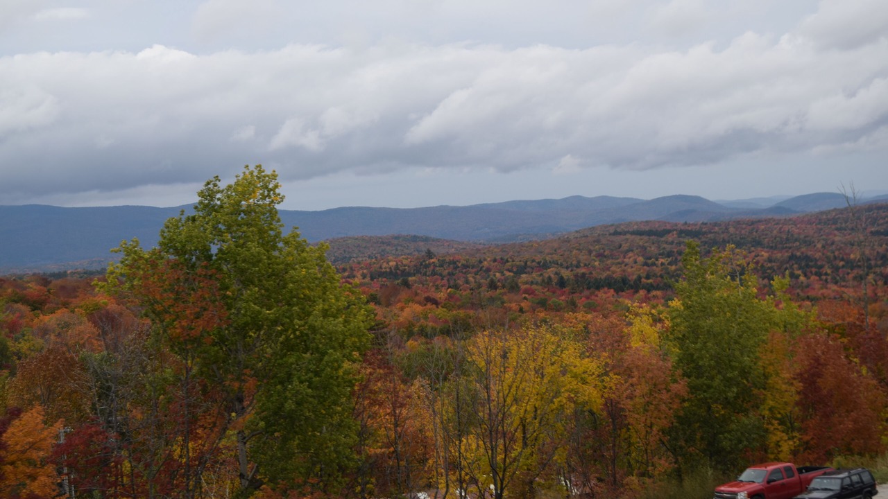 Photo of Others in Bromley Mountain