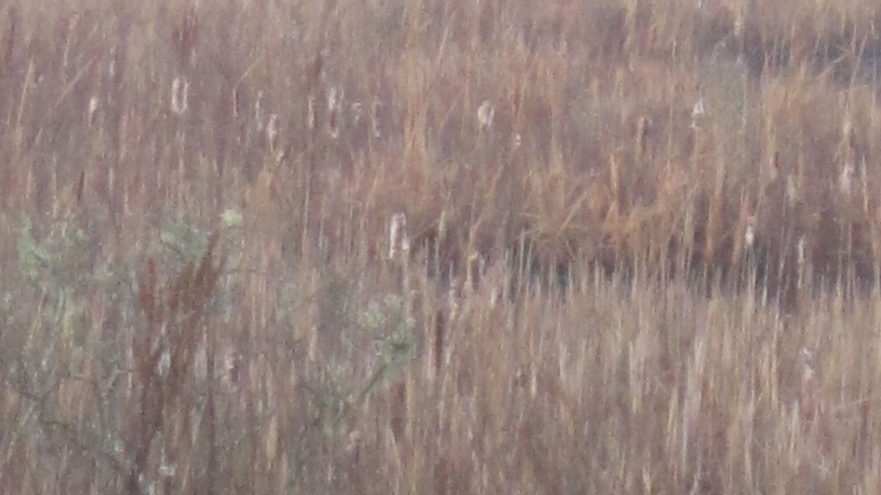 Photo of Others in Truro