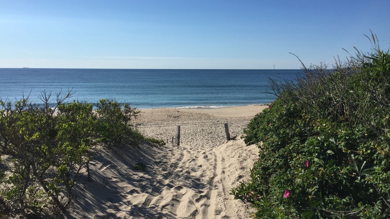 Photo of Others in New Shoreham