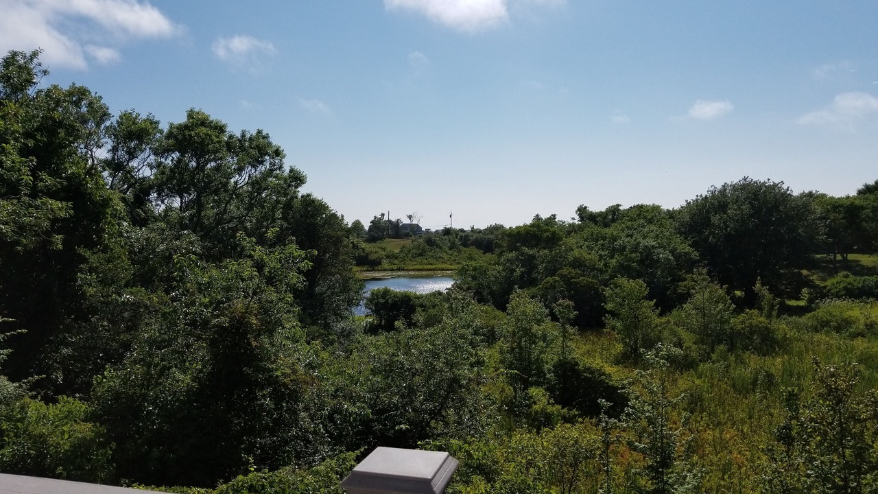 Photo of Others in New Shoreham