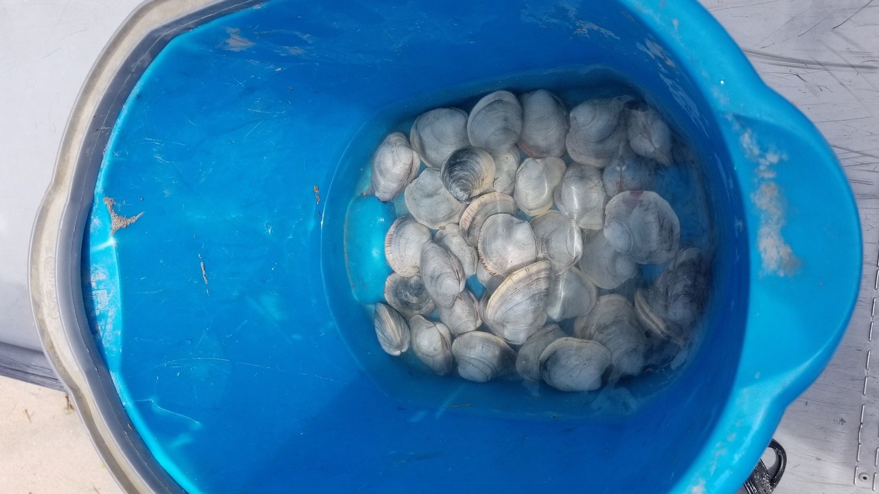 Photo of Others in New Shoreham