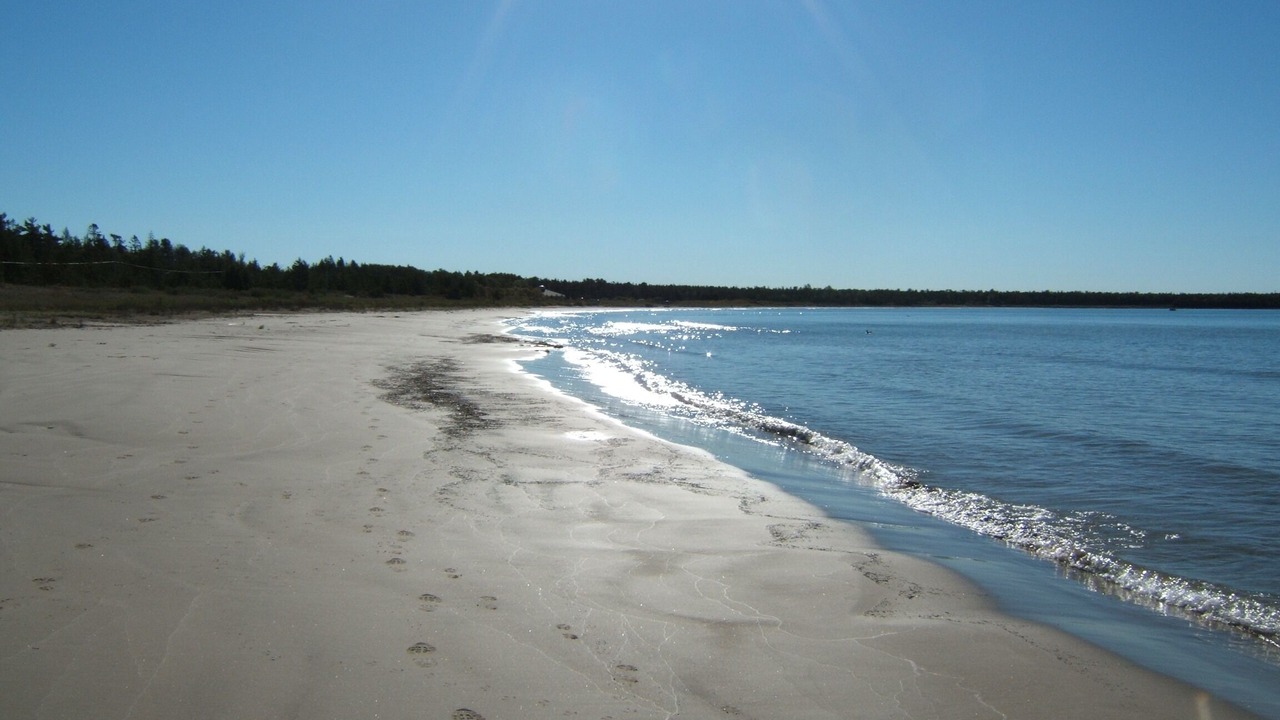 Photo of Others in Providence Bay