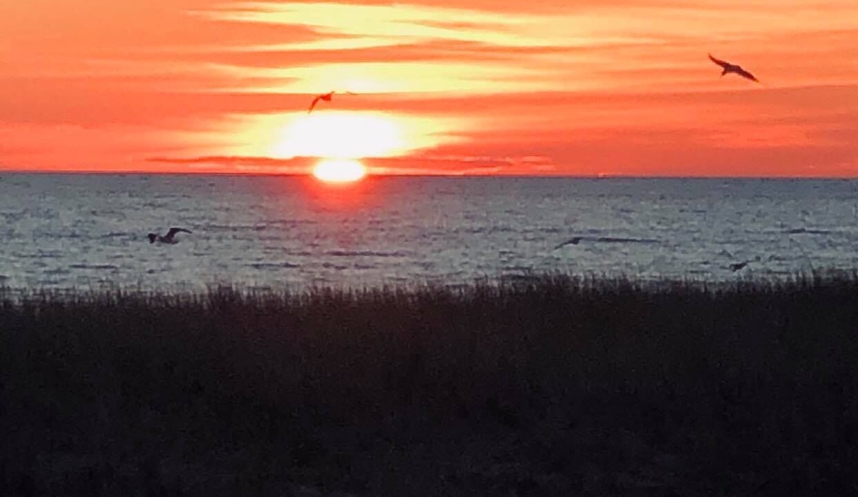 Photo of Outdoor in Ludington