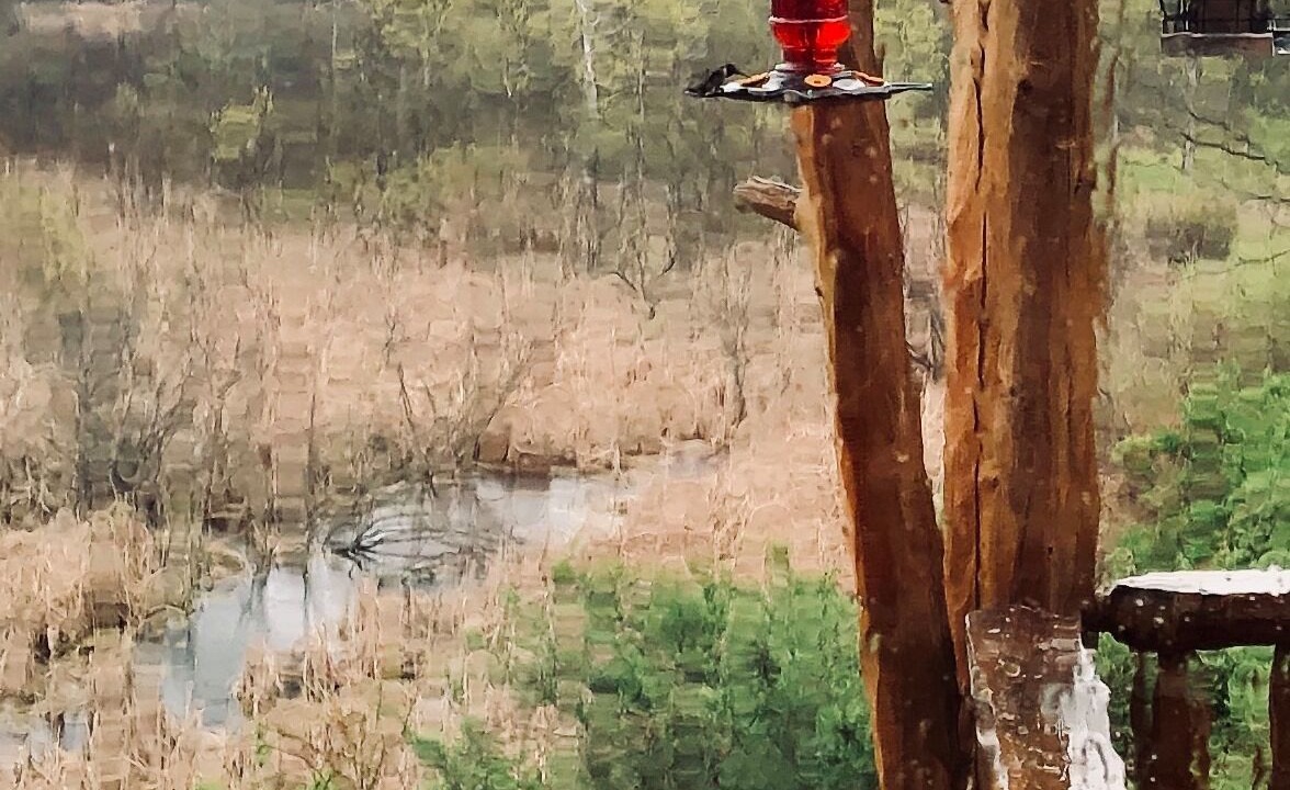 Photo of Others in Ludington