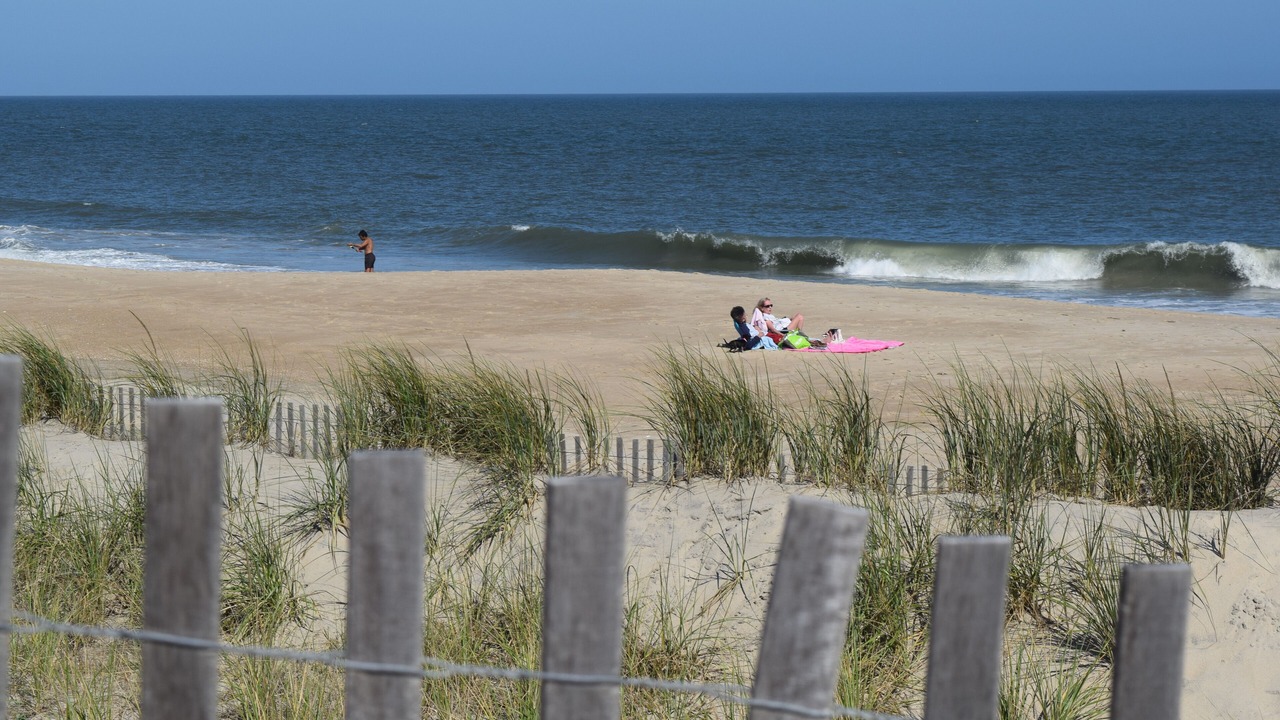 Photo of Others in Dewey Beach