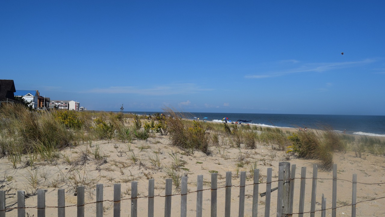 Photo of Others in Dewey Beach