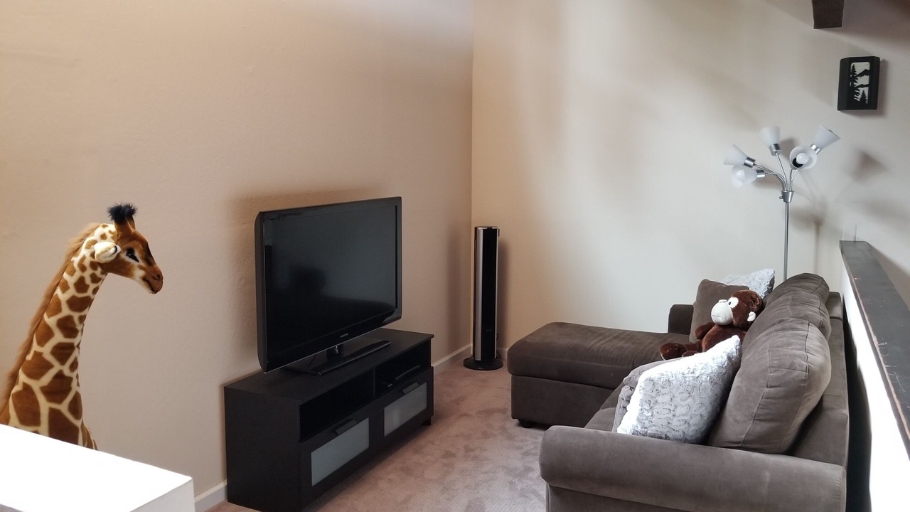 Photo of Livingroom in Kings Beach