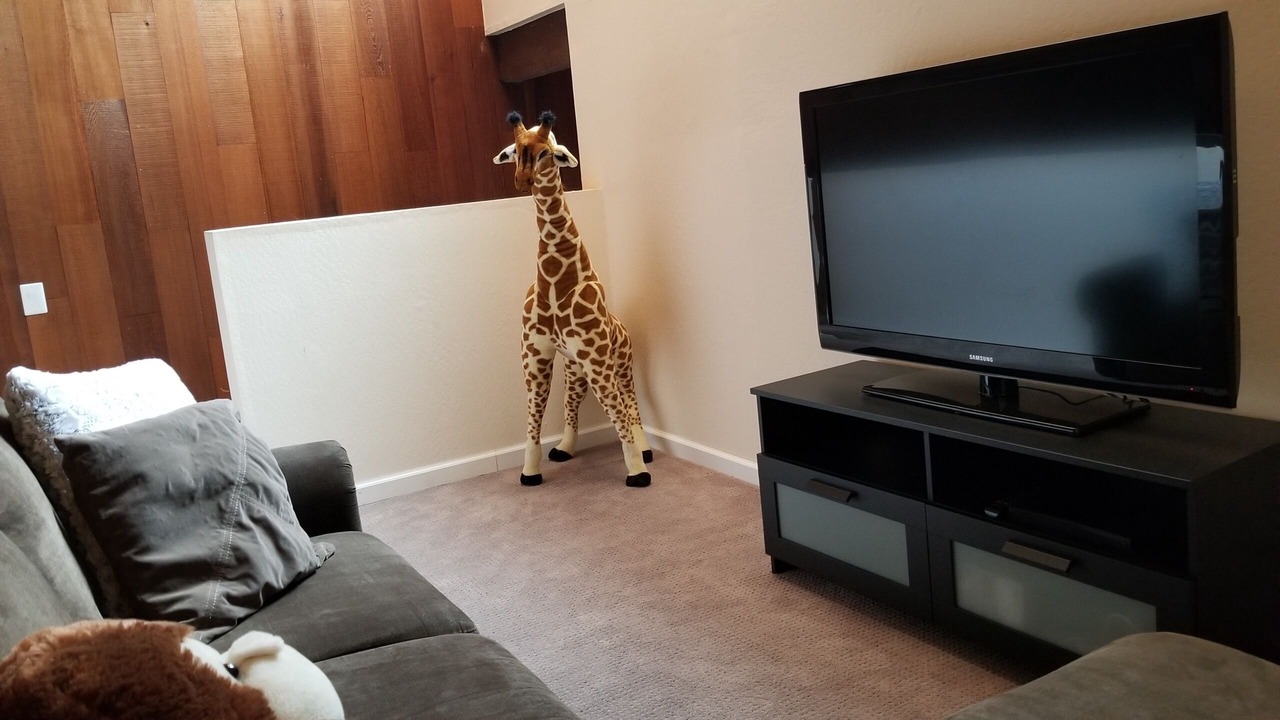 Photo of Livingroom in Kings Beach