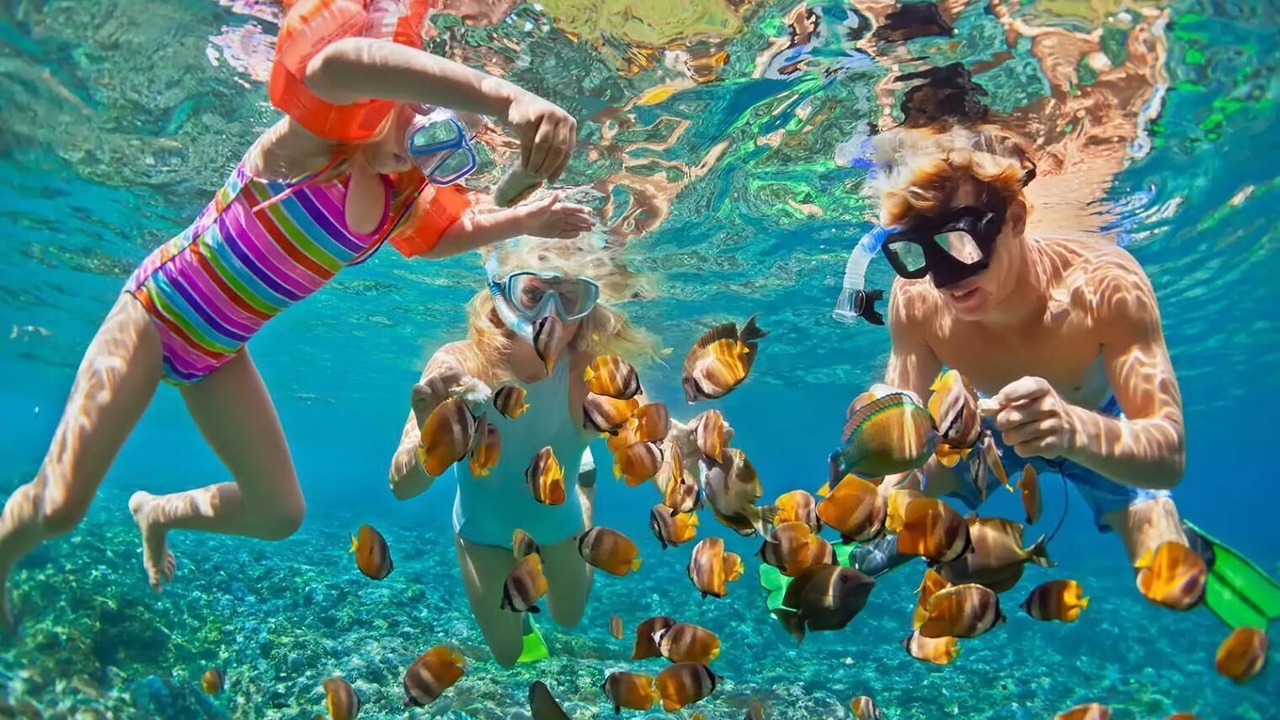 Photo of Others in Singer Island