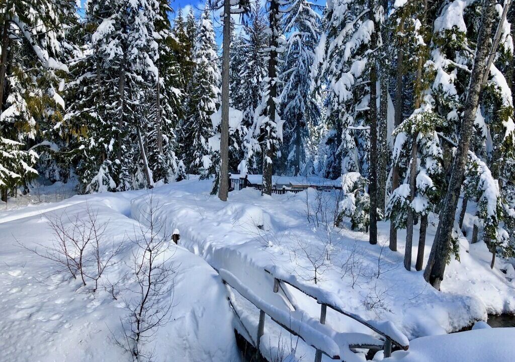 Photo of Others in Government Camp