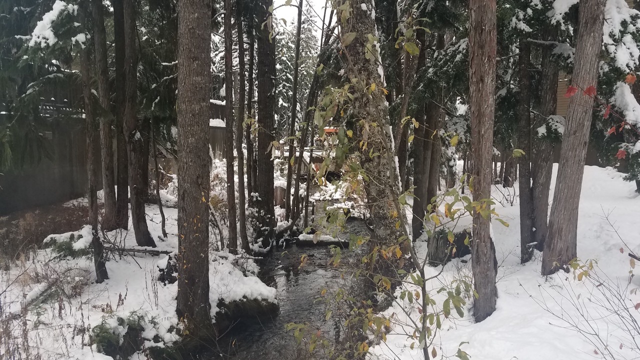 Photo of Outdoor in Government Camp