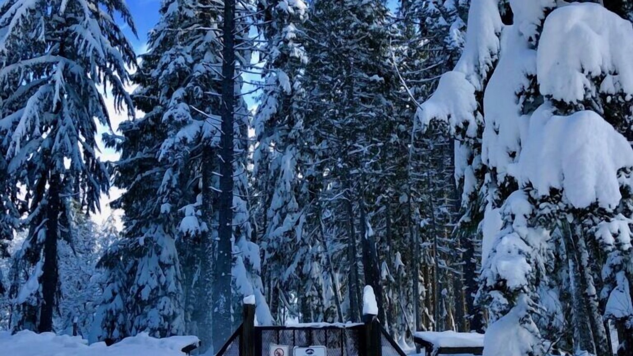 Photo of Outdoor in Government Camp