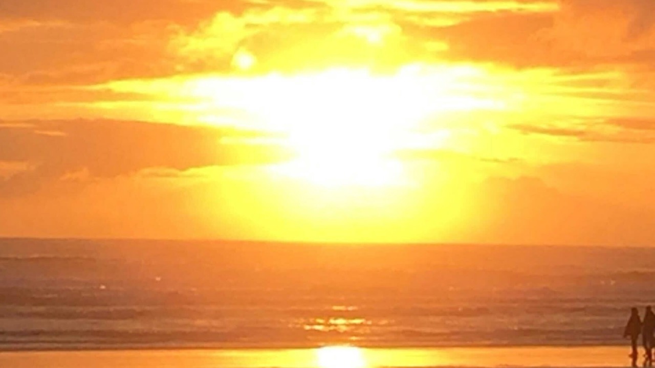 Photo of Others in Lincoln City