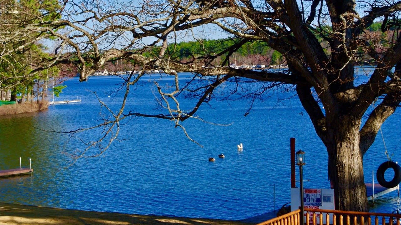 Photo of Others in Lochmere