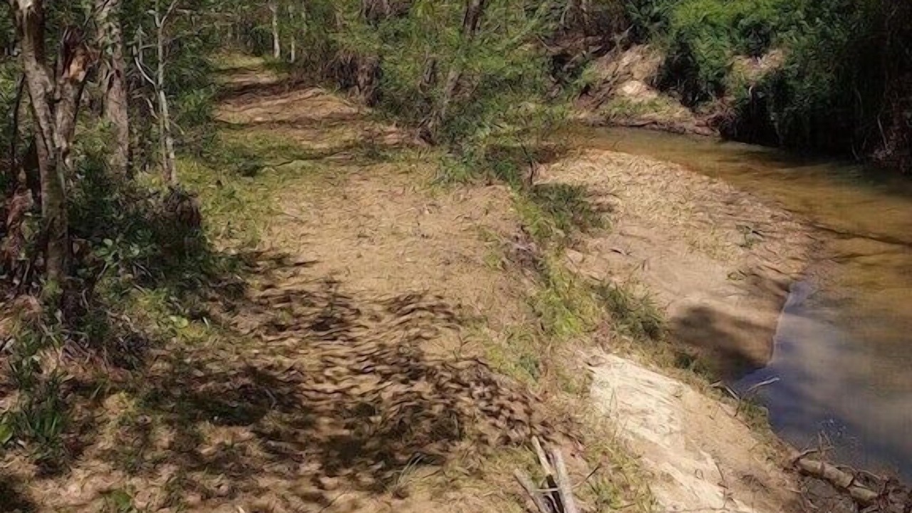 Photo of Others in Stokes