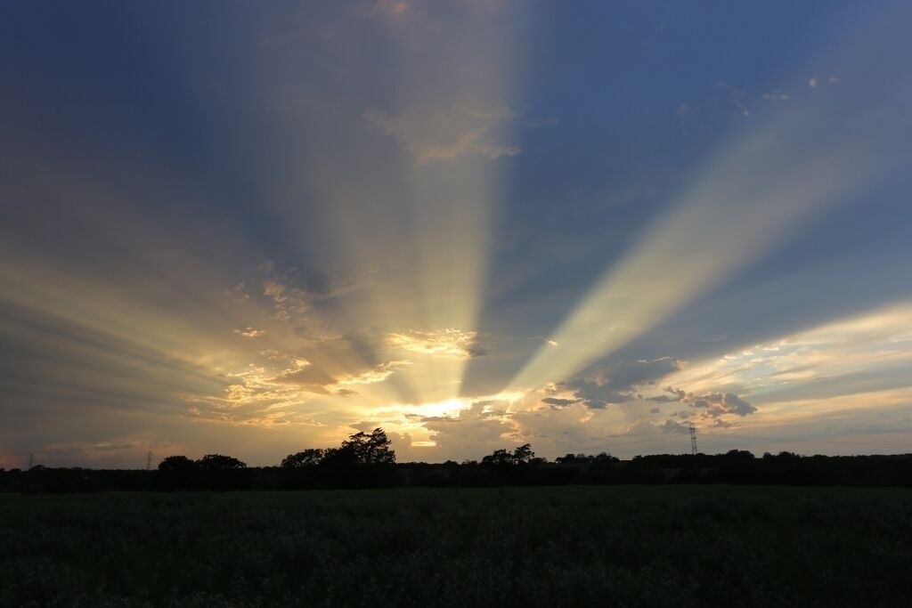 Photo of Others in Brenham