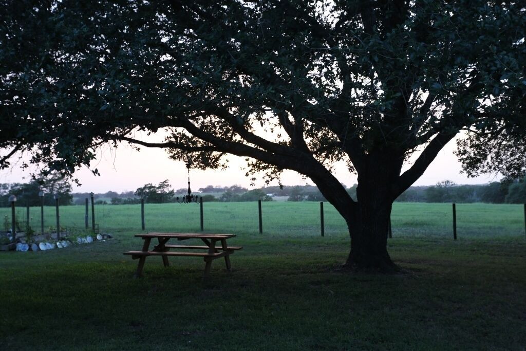Photo of Others in Brenham