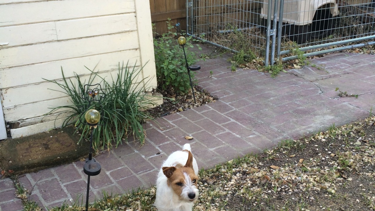 Photo of Others in Old North Davis