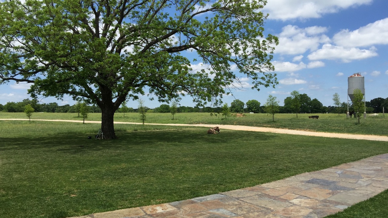 Photo of Outdoor in Alvarado