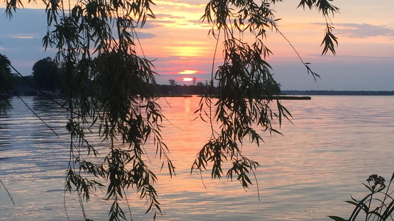 Photo of Outdoor in Bayberry