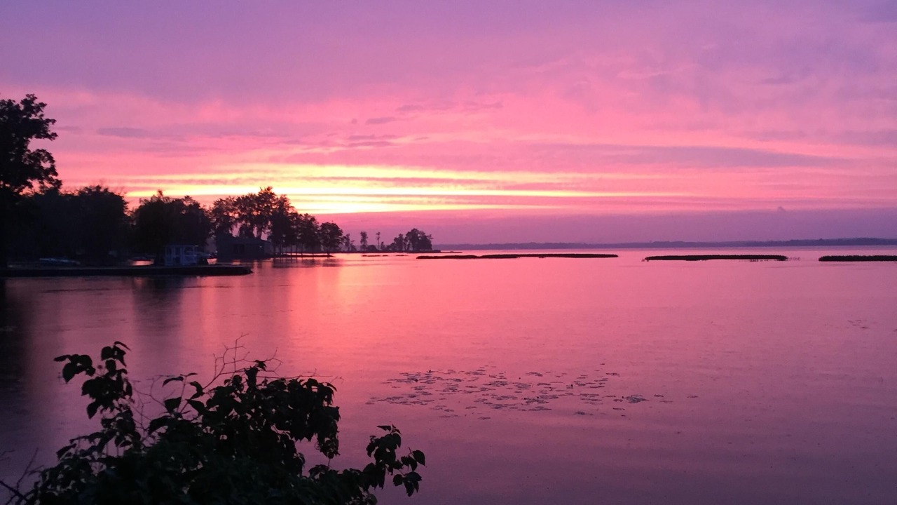 Photo of Others in Bayberry