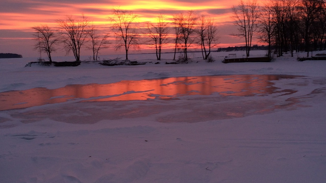 Photo of Others in Bayberry