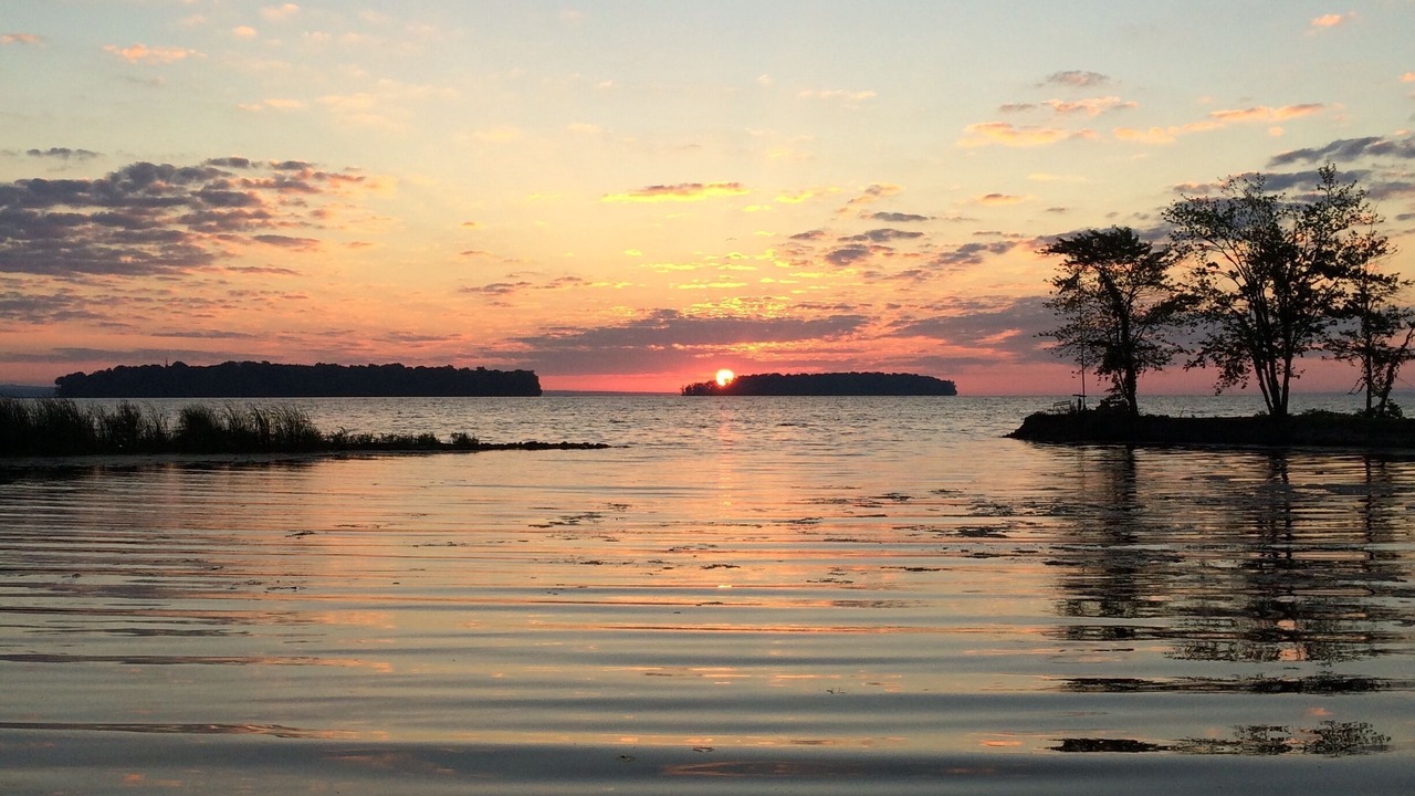 Photo of Others in Bayberry