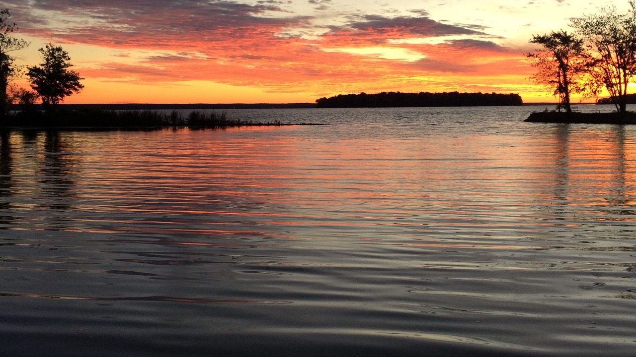 Photo of Others in Bayberry