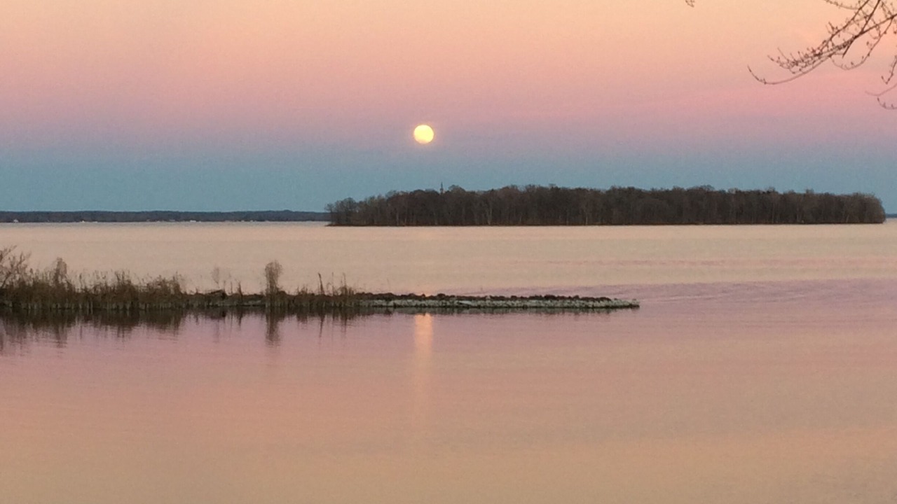 Photo of Others in Bayberry