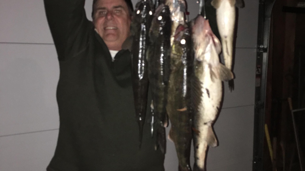 Photo of Others in Bayberry