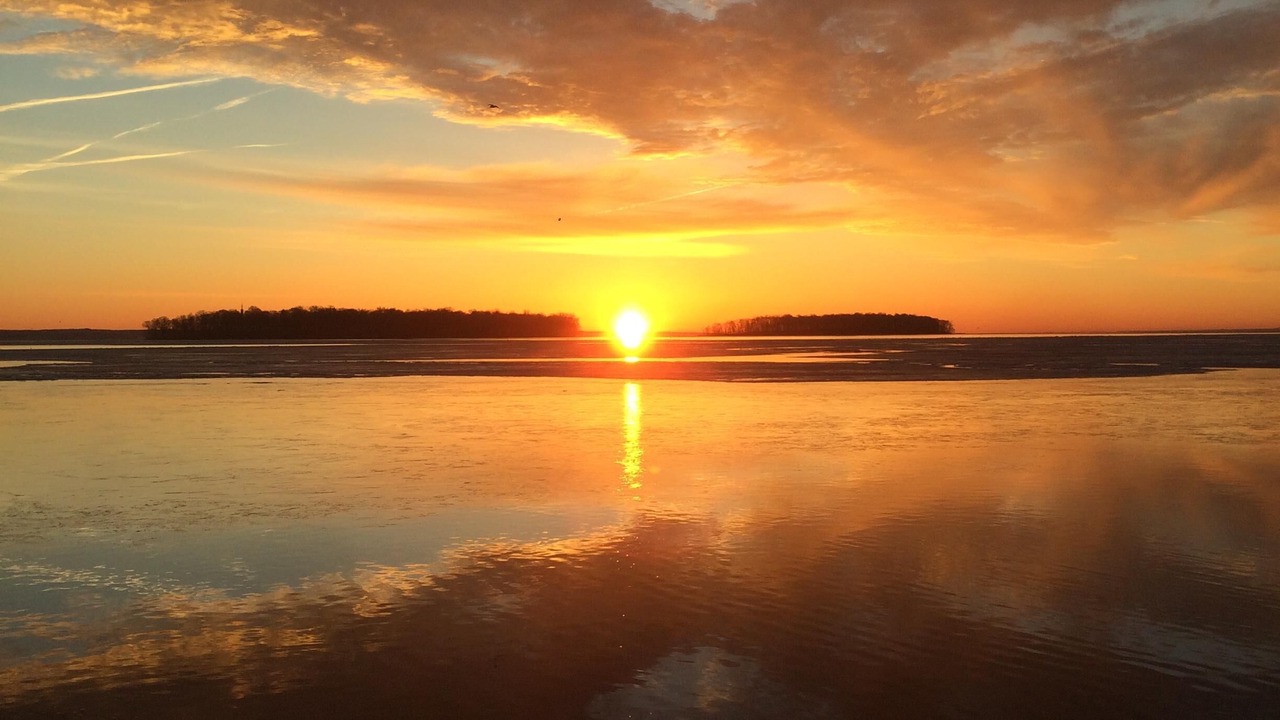 Photo of Others in Bayberry