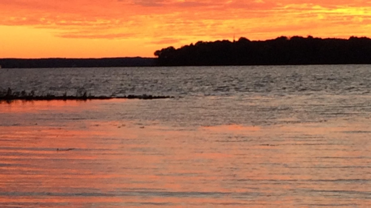 Photo of Others in Bayberry