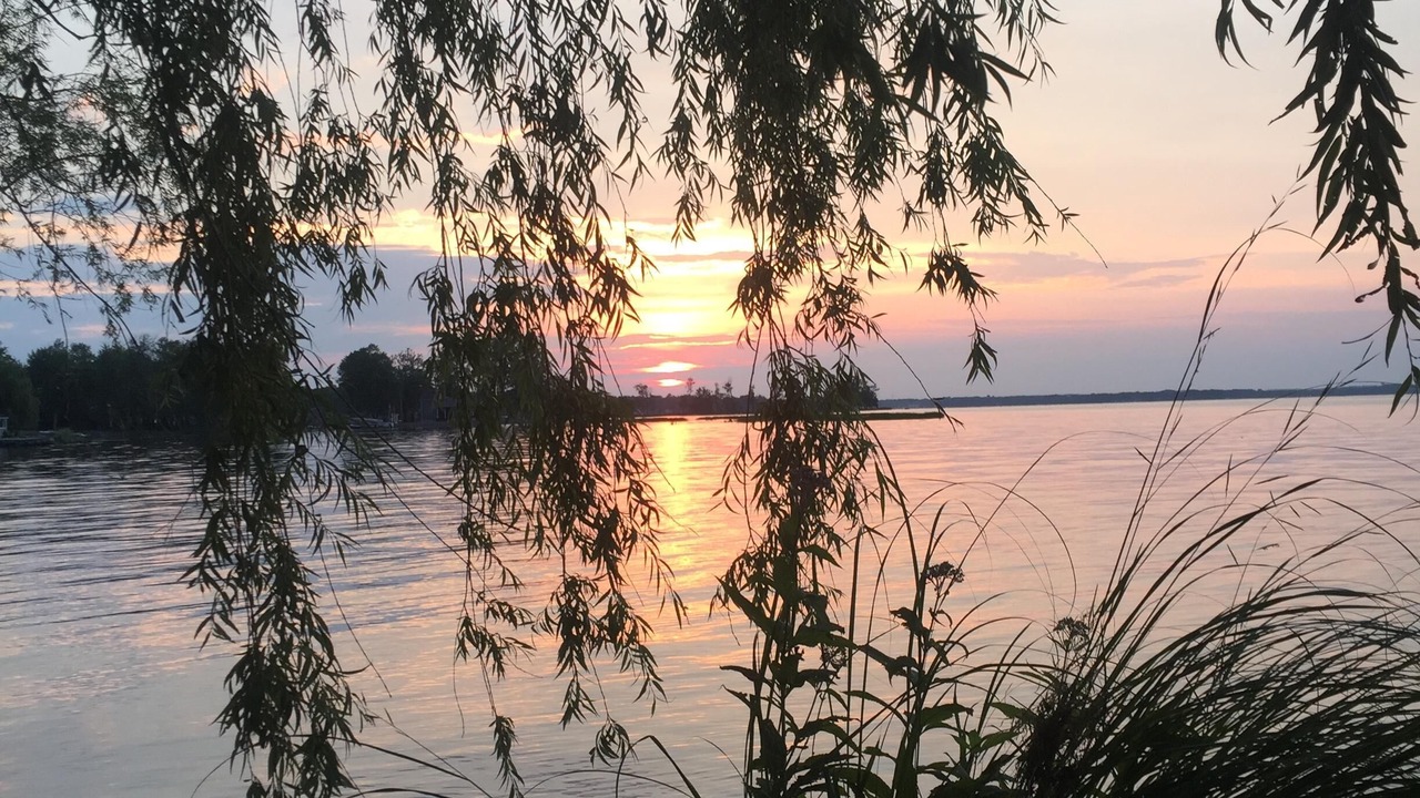 Photo of Others in Bayberry