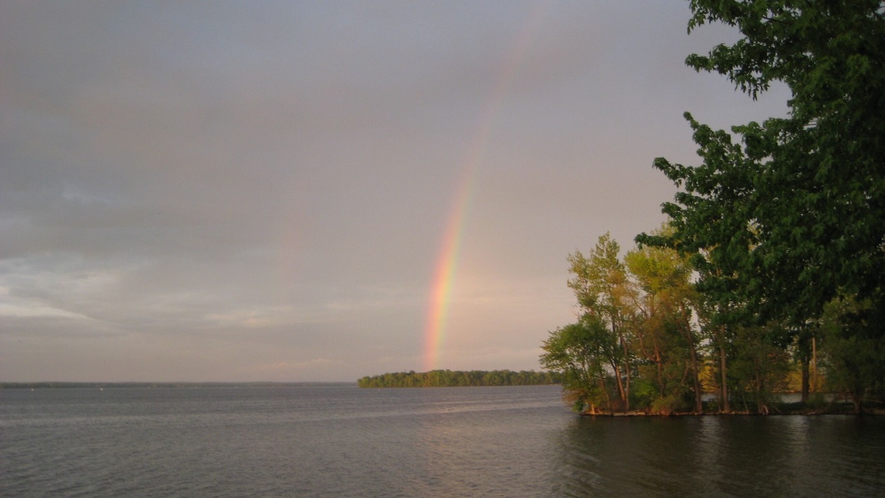 Photo of Others in Bayberry