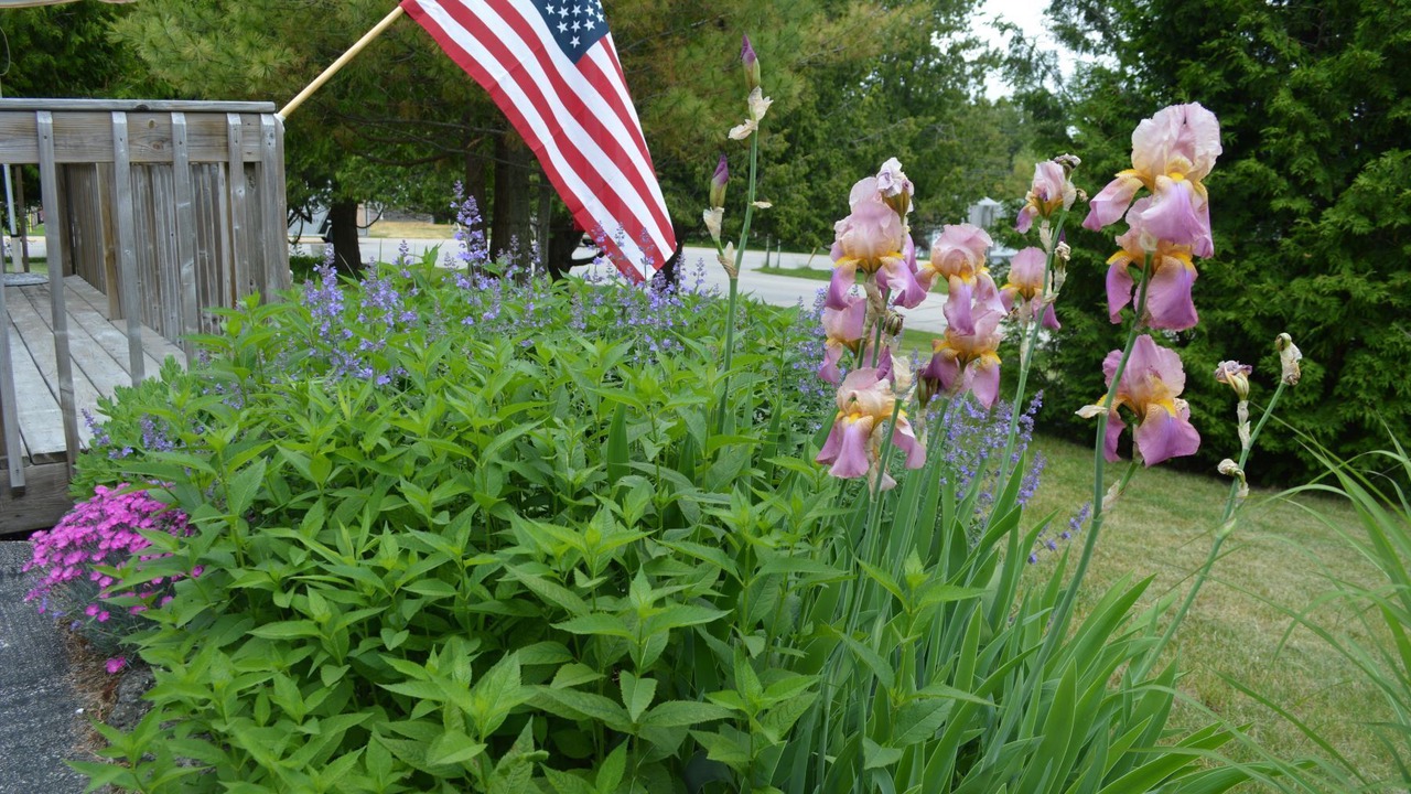 Photo of Others in Baileys Harbor