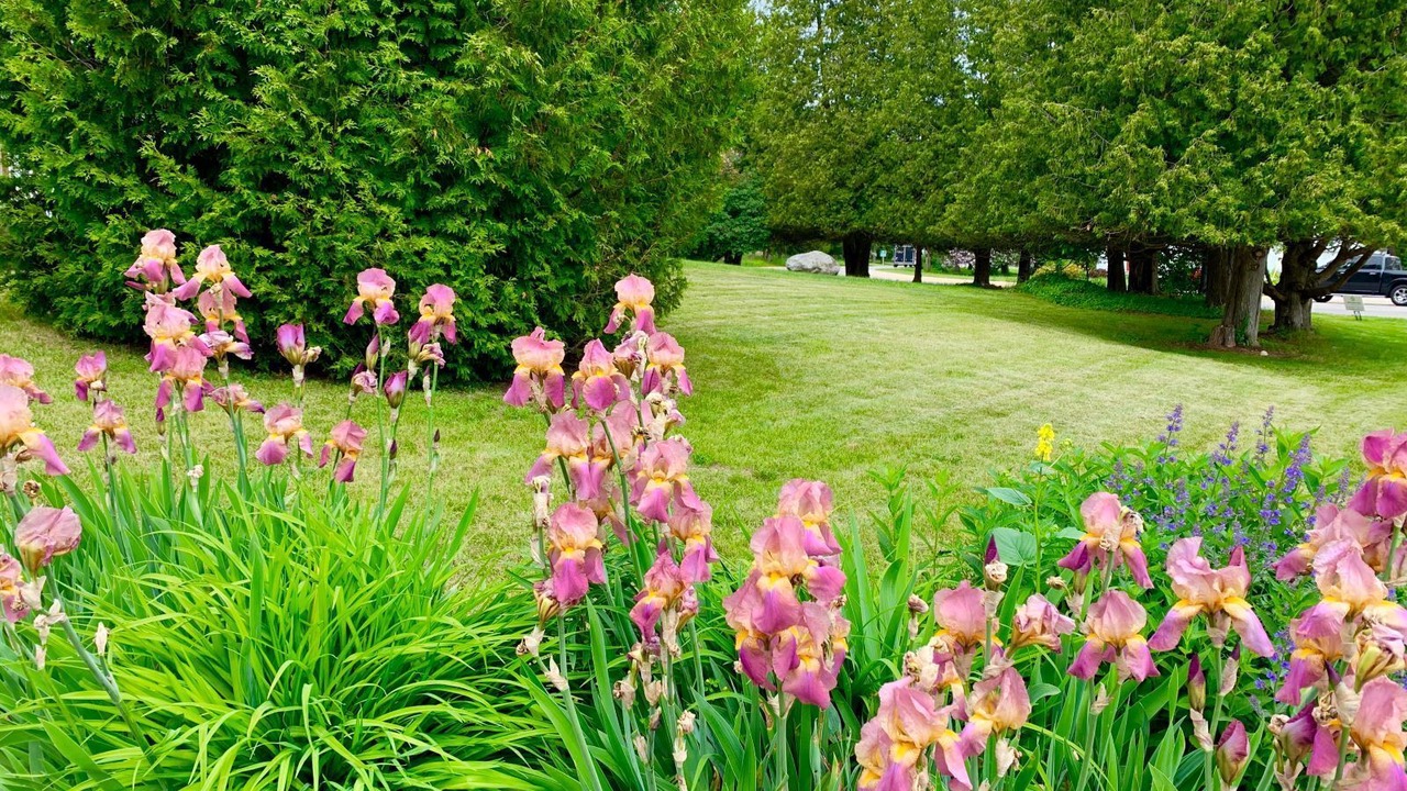 Photo of Outdoor in Baileys Harbor