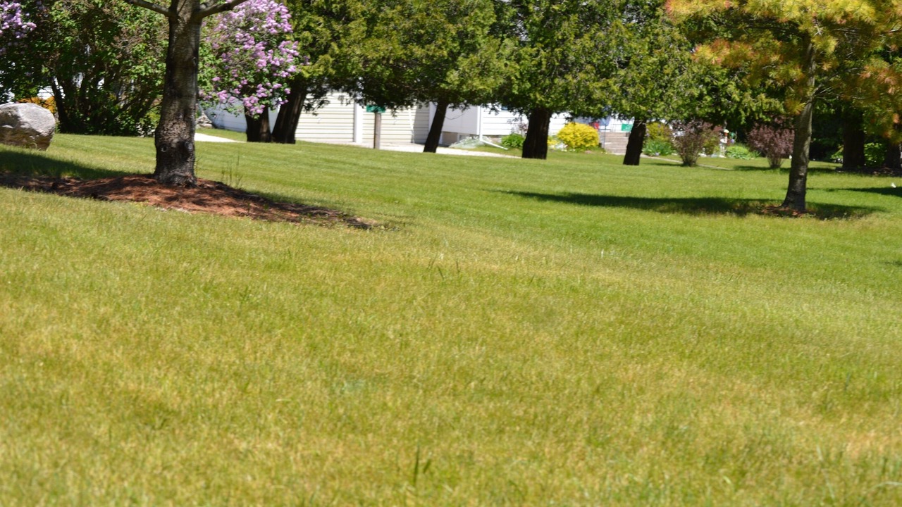 Photo of Outdoor in Baileys Harbor