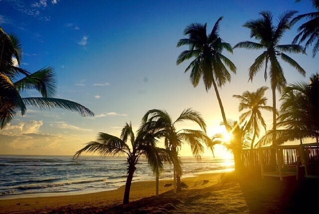 Photo of Others in Punta Cana