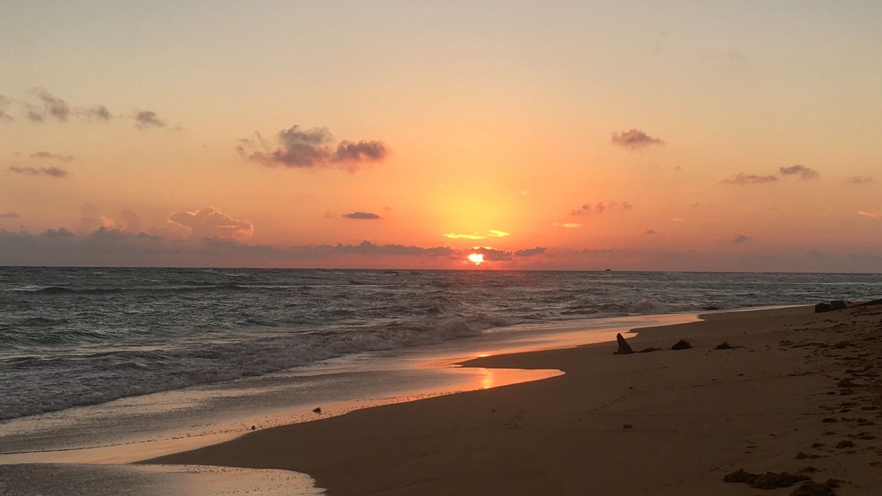 Photo of Others in Punta Cana