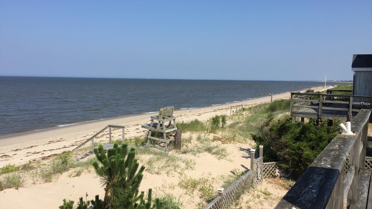 Photo of Others in Prime Hook Beach