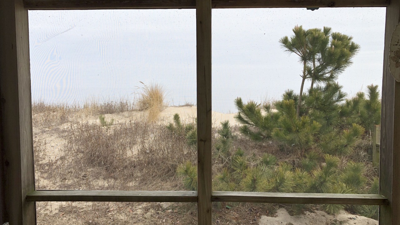 Photo of Others in Prime Hook Beach