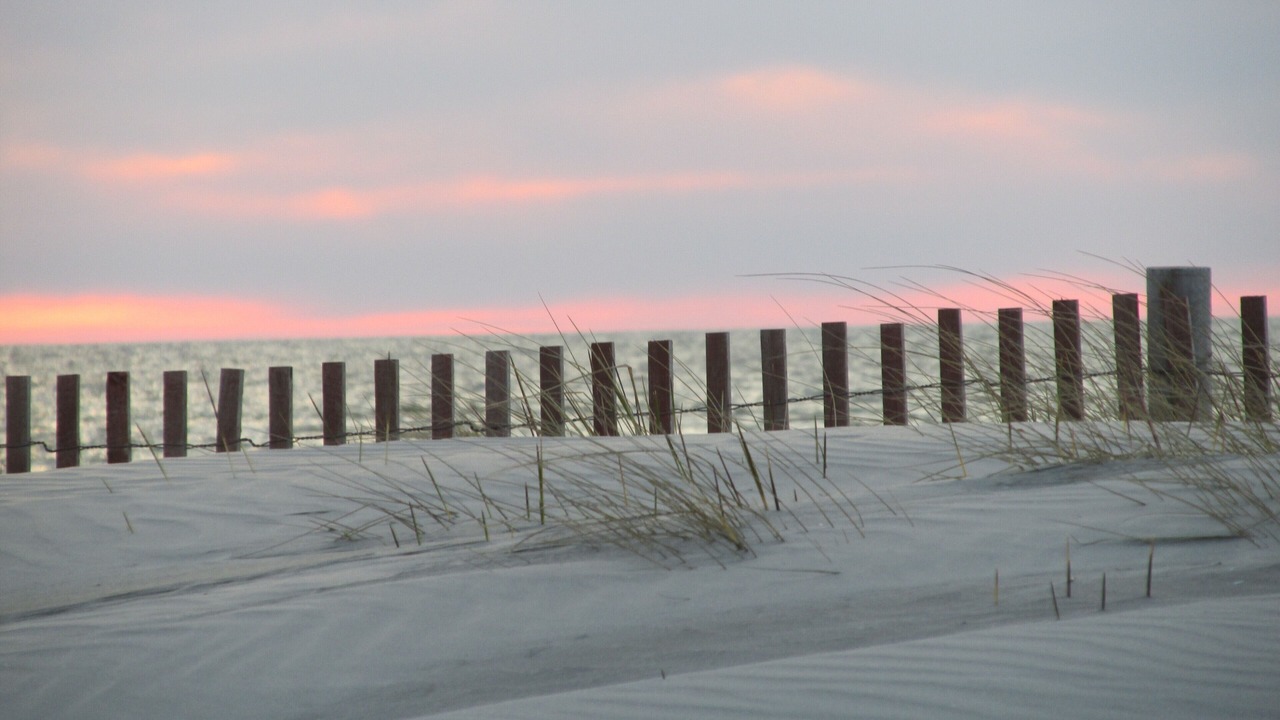 Photo of Others in Cape Charles