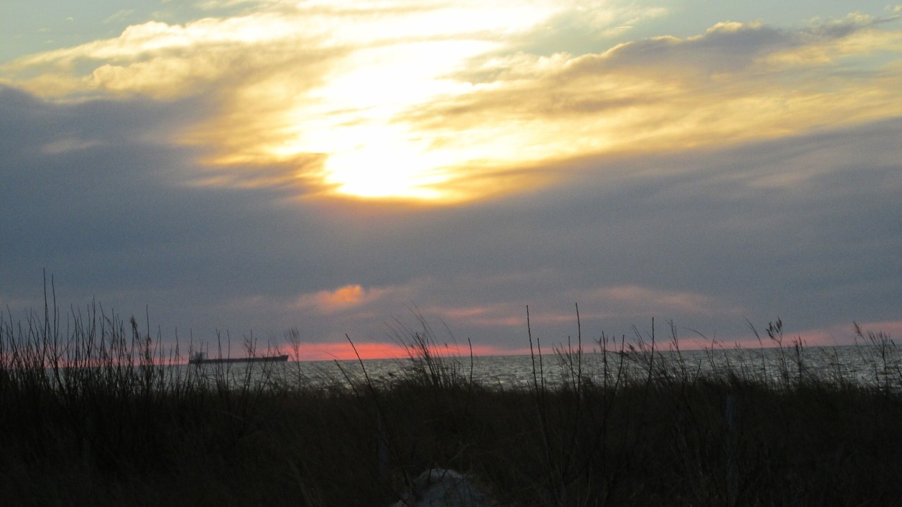 Photo of Others in Cape Charles