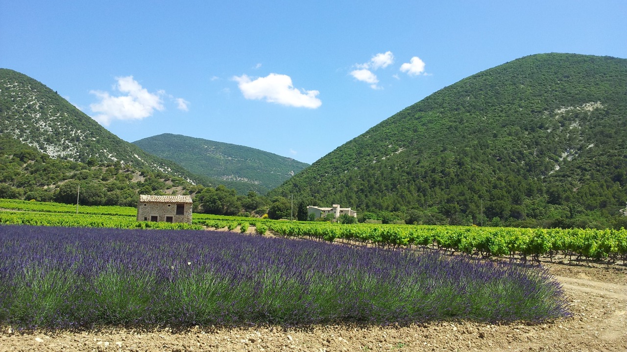 Photo of Others in Venterol