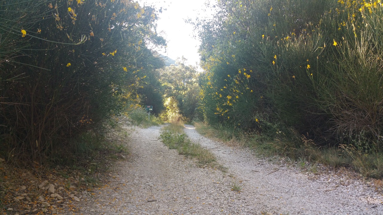 Photo of Others in Venterol