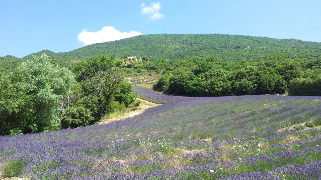 Photo of Others in Venterol